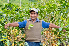 Load image into Gallery viewer, Martin Chirino