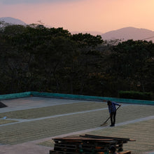 Load image into Gallery viewer, El Limon