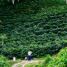 Load image into Gallery viewer, Gregorio Palli Mamani at Volcán del Tigre