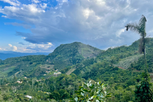 Load image into Gallery viewer, Martin Chirino