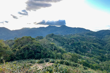 Load image into Gallery viewer, Waliki Fermented Natural