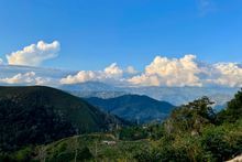 Load image into Gallery viewer, Waliki Fermented Natural