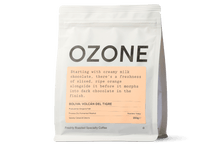 Load image into Gallery viewer, Gregorio Palli, Volcán del Tigre