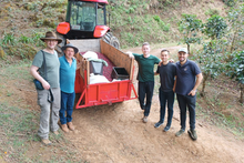 Load image into Gallery viewer, Arbar Oasis
