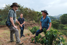 Load image into Gallery viewer, Arbar Oasis
