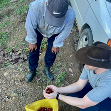 Load image into Gallery viewer, Pedro Flores
