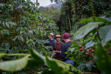 Load image into Gallery viewer, Ozone Green Buyer Roland Glew visiting Finca La Linda in Bolivia
