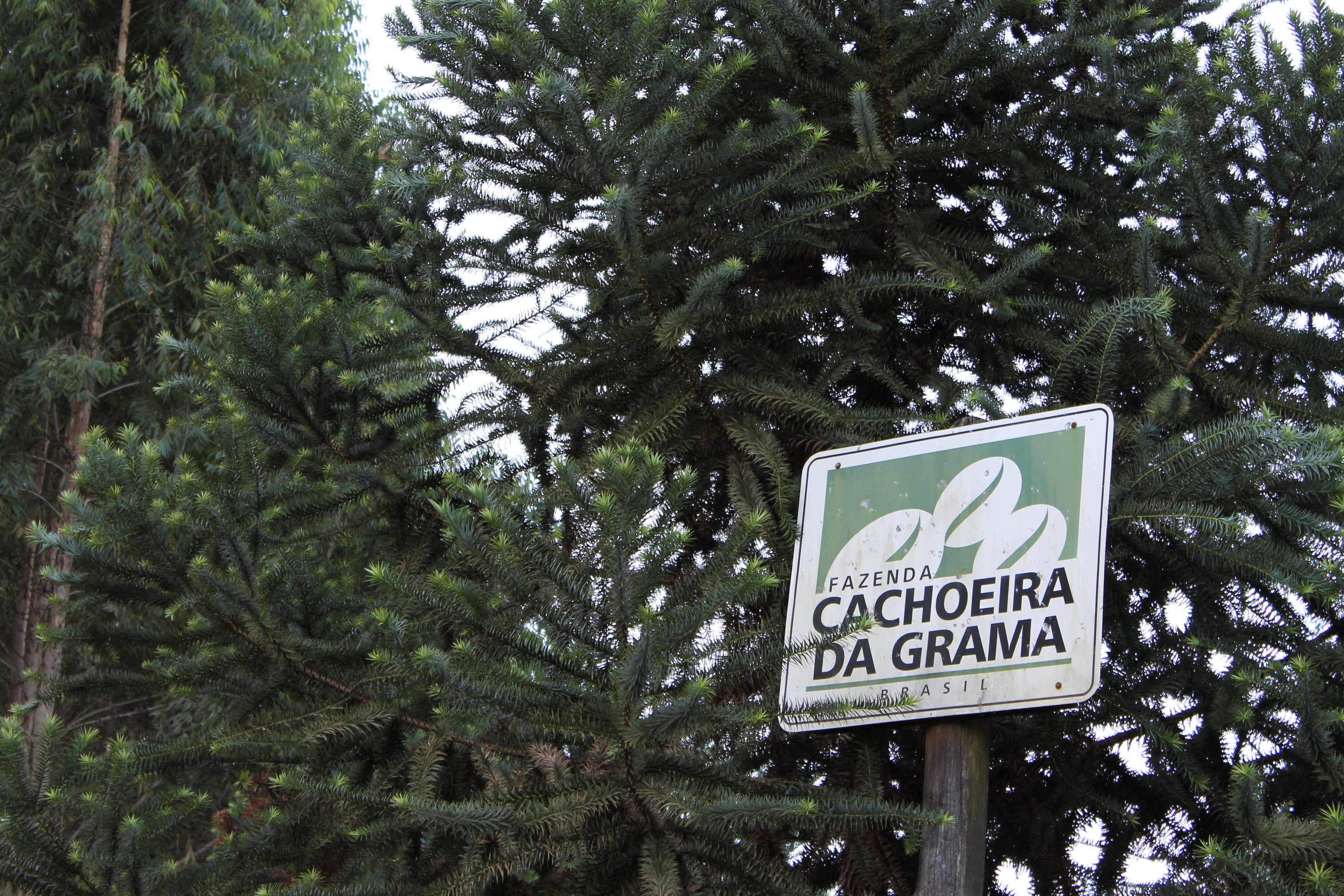Sign for 'Fazenda Cachoeira da Grama' surrounded by trees at the entrance to the farm in Brazil