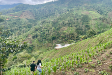 Load image into Gallery viewer, Nima Juarez
