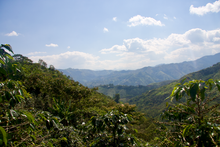 Load image into Gallery viewer, Nima Juarez
