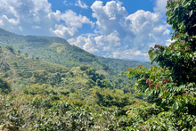 Load image into Gallery viewer, Martin Chirino
