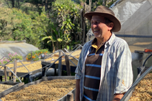 Load image into Gallery viewer, Arbar Oasis
