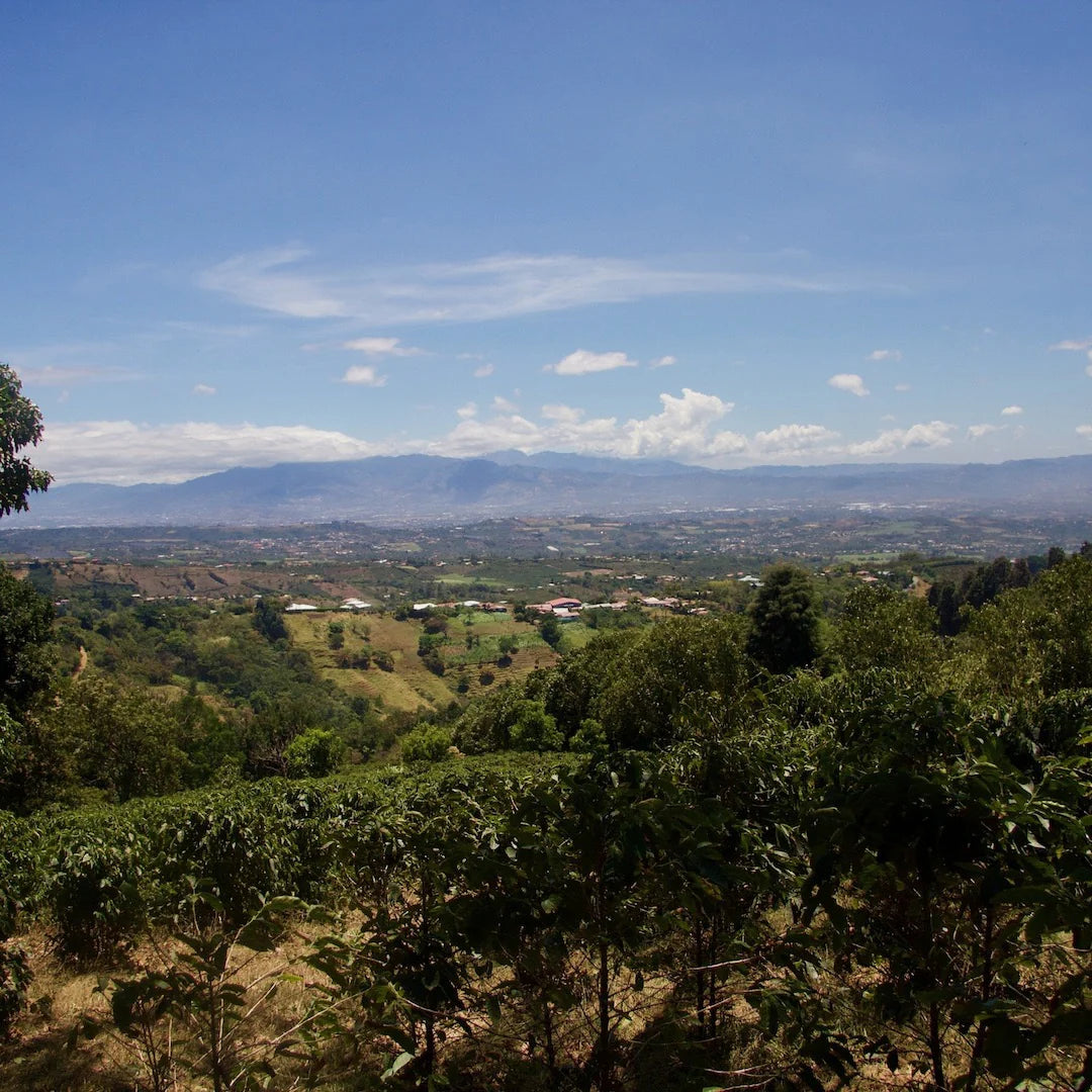 View from Finca Carmela in the Western Valley of Costa Rica