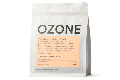 Costa Rica Arbar | El Oasis White Honey Caturra & Catuai - Ozone Coffee Roasters New Zealand