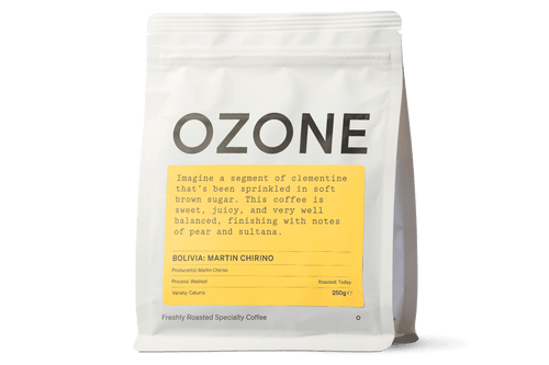 Bolivia Martin Chirino | Anaerobic Fermented Washed Caturra